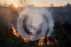 Burning dry grass and warning sign in field at sunset.