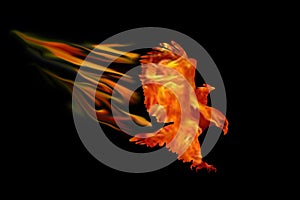 Burning eagle isolated over black background