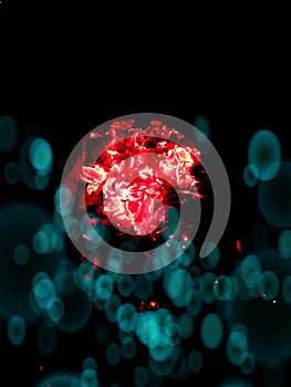 Burning fire on black coal natural beautiful