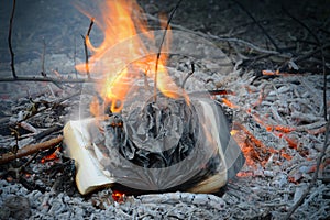 Burning in the fire book