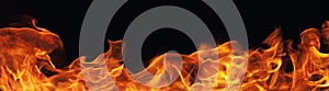 Burning fire flame on black background
