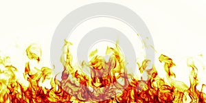 Burning fire flame on white background