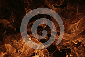 Burning fire flames detail