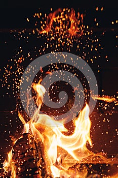 Burning fire logs with sparks in the fireplace