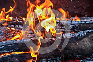 Burning fire orange tongues of flame on the charred boards