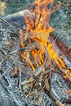 Burning fire in an outdoor bonfire