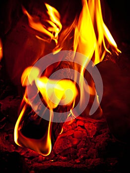 Burning fire wood fuelwood