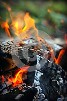 Burning firewood