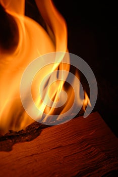 Burning firewood photo