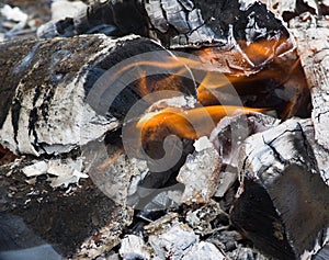 A burning firewood