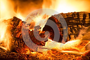 Burning firewood photo