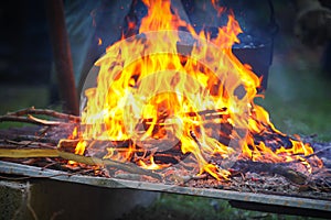 Burning firewood at campfire.