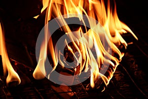 Burning firewood close-up on a metal grate in the dark