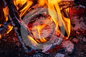 Burning firewood, closeup photo