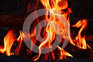 Burning firewood, spurts of flame photo