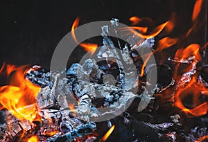 Burning flame and firewoods