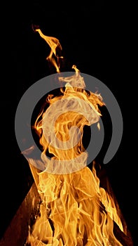 Burning flame of wood fire, black background