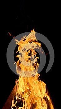 Burning flame of wood fire, black background