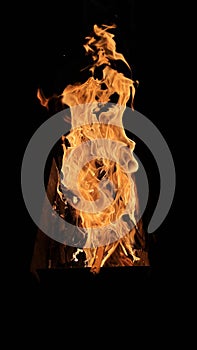 Burning flame of wood fire, black background