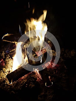 Burning flames on wood logs on a fire pit