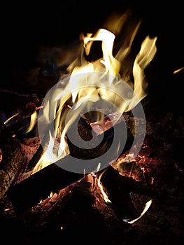 Burning flames on wood logs on a fire pit