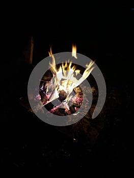 Burning flames on wood logs on a fire pit