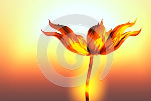 Burning flower