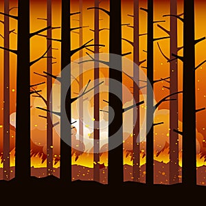 Burning forest fire natural disaster