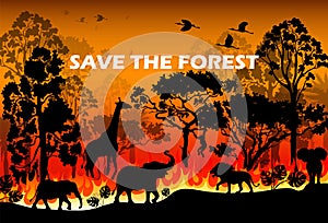 Burning forest vector