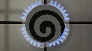 A burning gas burner. The kitchen gas burner burns in blue. A gas burner burns in the kitchen.