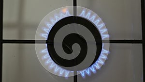 A burning gas burner. The kitchen gas burner burns in blue. A gas burner burns in the kitchen.