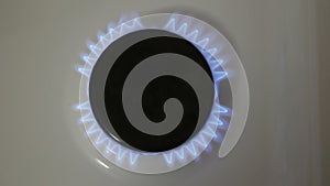 A burning gas burner. The kitchen gas burner burns in blue. A gas burner burns in the kitchen.