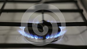 A burning gas burner. The kitchen gas burner burns in blue. A gas burner burns in the kitchen.