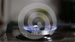 Burning gas of a kitchen gas stove, close-up.