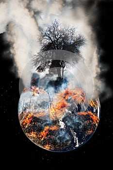 Burning globe earth