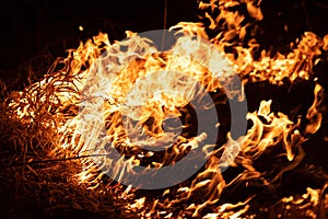 Burning grass in the field, close up. Nature on fire. Themes of fire, disaster and extreme events. Night shot