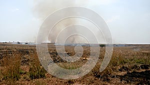Burning Grass In The Wild African Savannah In The Dry Season