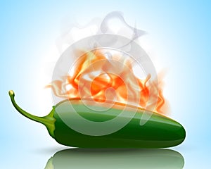 Burning Hot Jalapeno Pepper