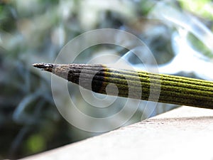 A burning incense stick