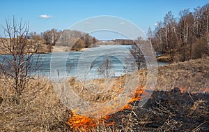 Burning last year's dry grass in the spring