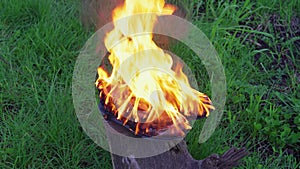 Burning leather sports shoes. Sneakers or gym shoes on fire stand on the Stump.