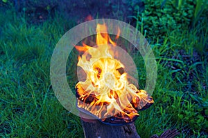 Burning leather sports shoes. Sneakers or gym shoes on fire stand on the Stump.