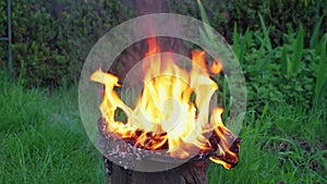 Burning leather sports shoes. Sneakers or gym shoes on fire stand on the Stump.