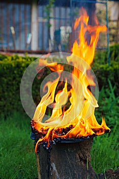 Burning leather sports shoes. Sneakers or gym shoes on fire stand on the Stump.