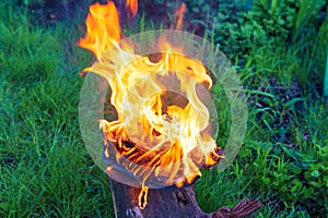 Burning leather sports shoes. Sneakers or gym shoes on fire stand on the Stump.