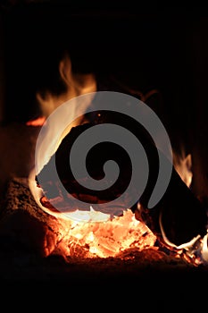 Burning log. The fire.