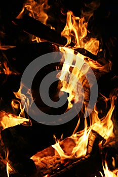 Burning log fire vertical