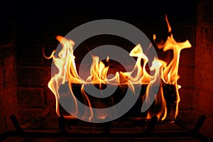 Burning log in the fireplace