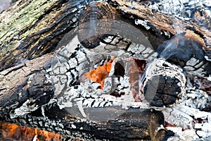 Burning Logs