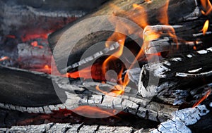 Burning logs in bonfire flames detailed stock photos